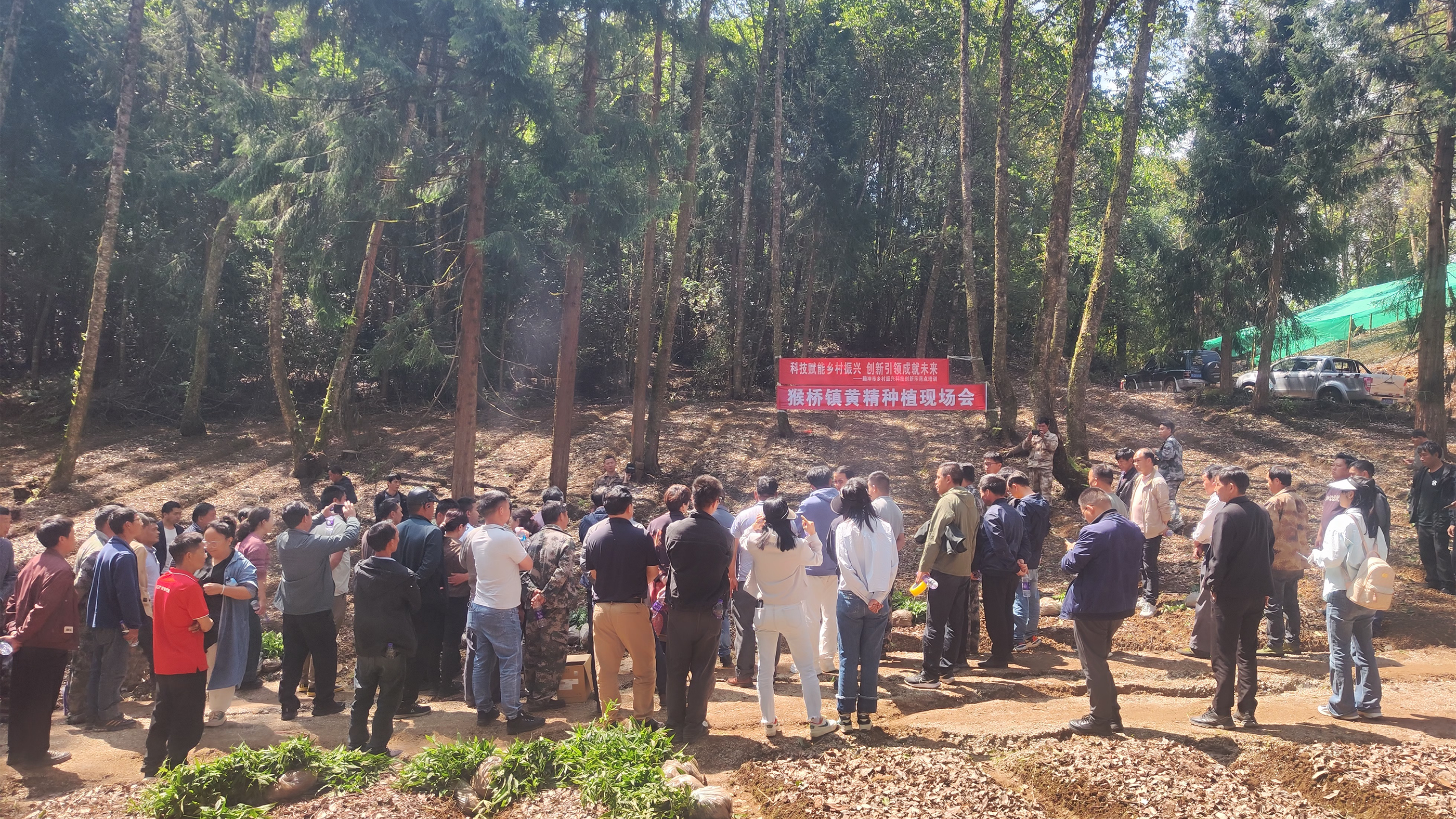 恒益本草源林下黄精种植技术培训会圆满举行